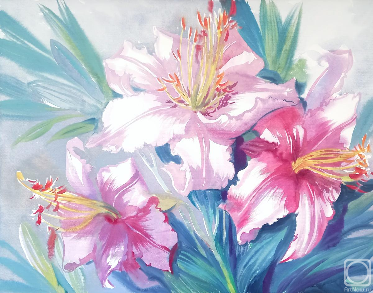 �������. ���������� ���������. ����� �� �����