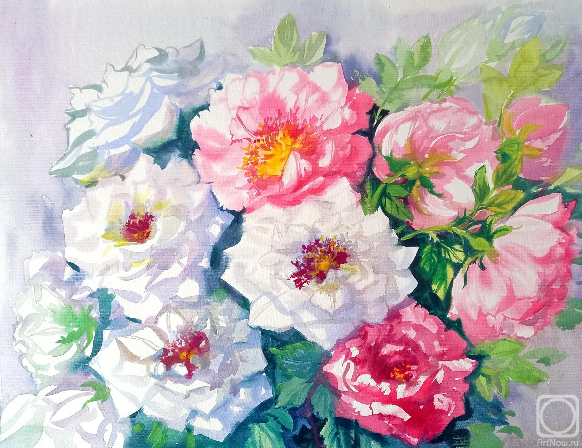 �������. ���������� ���������. �������� ����������� ���