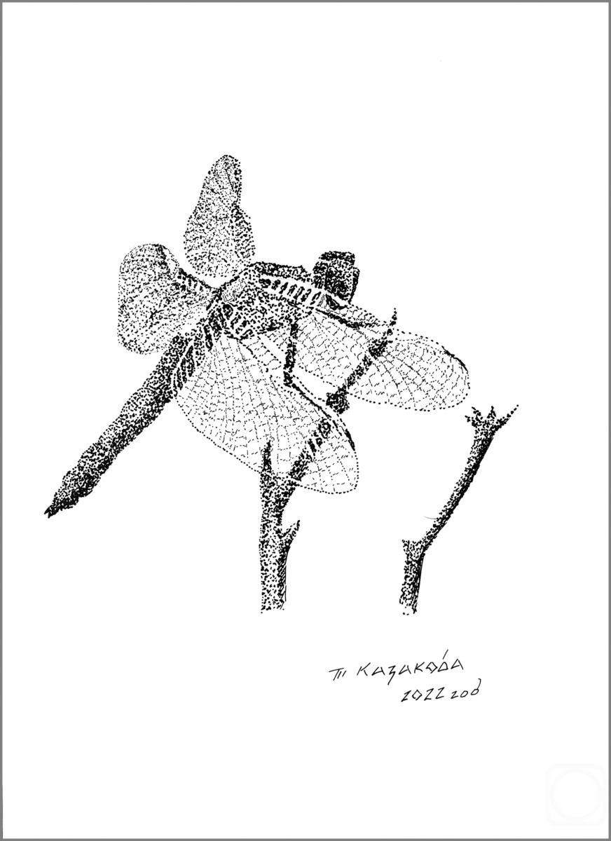 �������. �������� �������. ��������