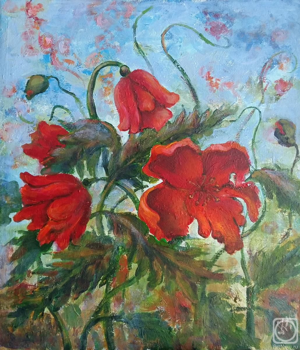 �������. �������� ���������. ���