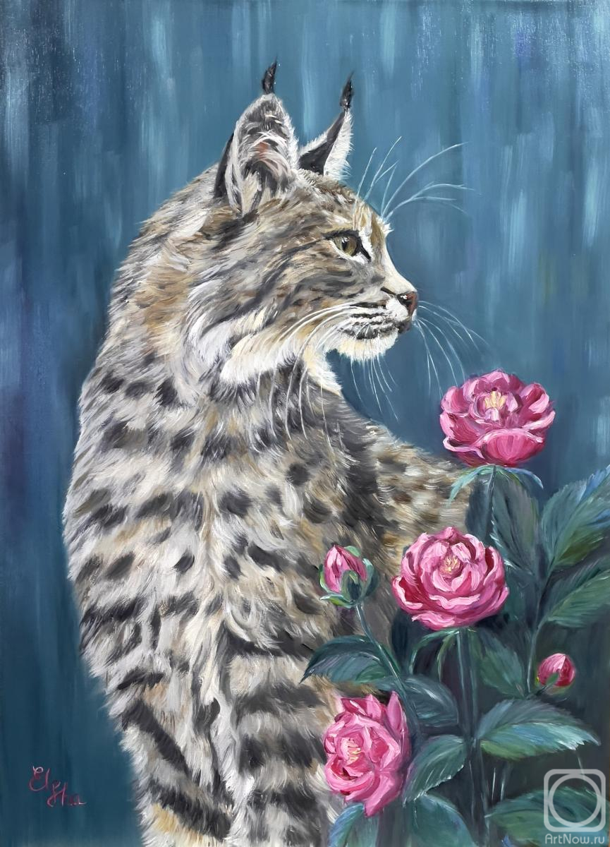 ������� ������ �� ������. ������� �����. ���� � ���� ���