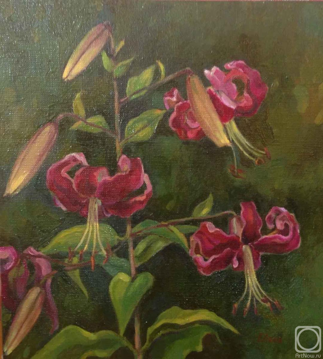 Ermalyugina Liliya. Lily