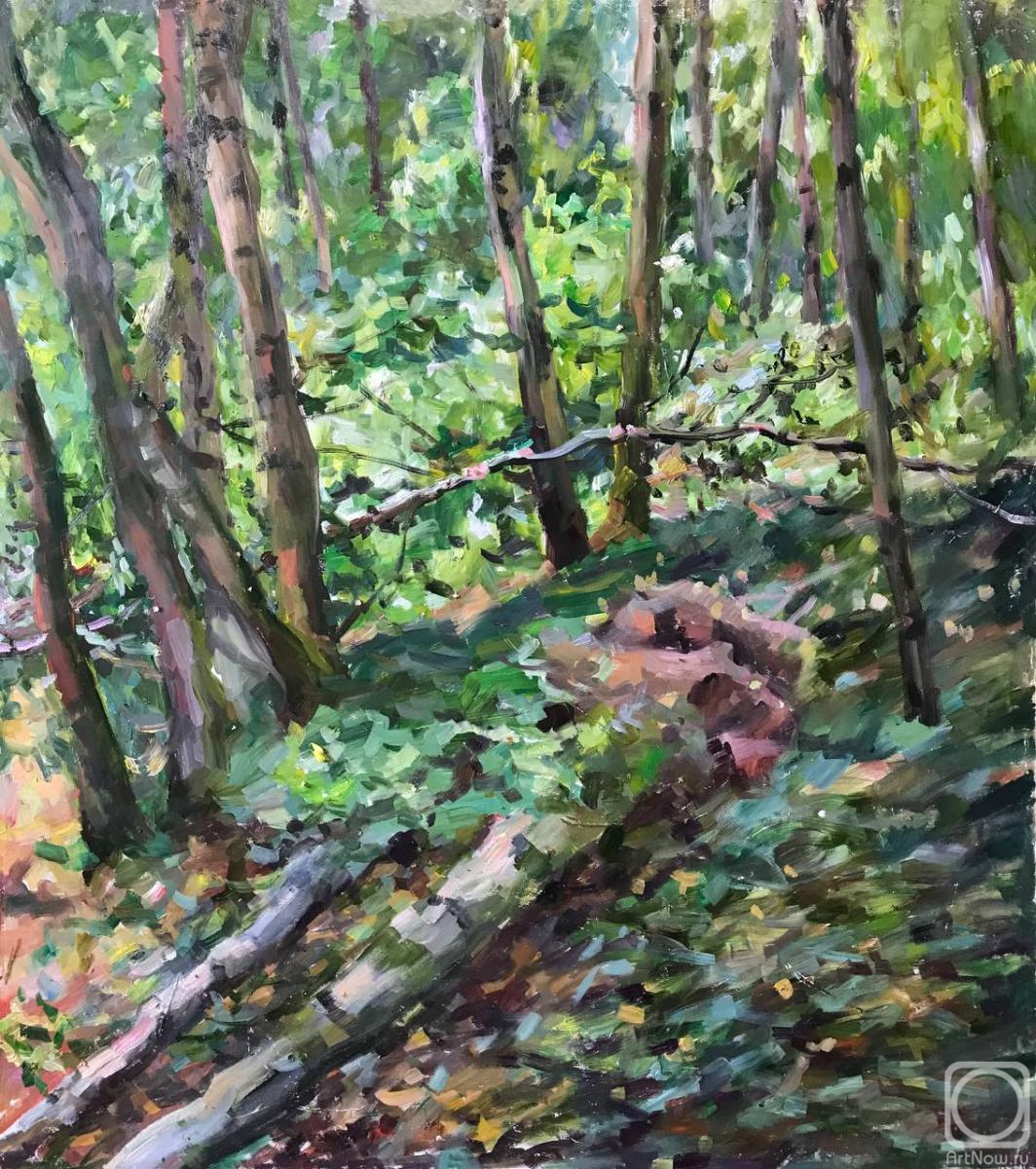 �������. ������ ��������. ��������� ����