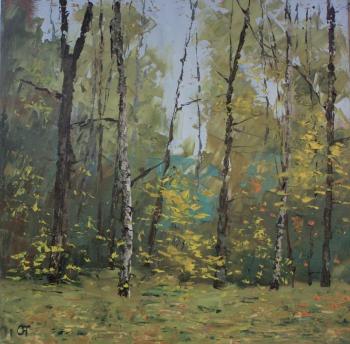 ����� � ��������. ���������� ����