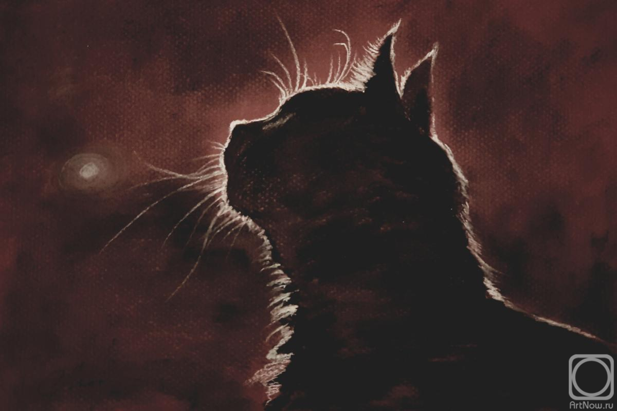 �������. �������� ������. �����