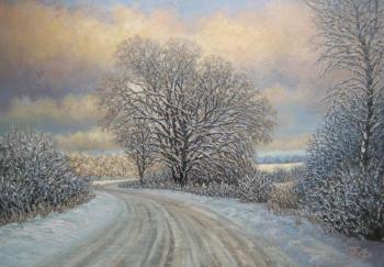 Winter Road. Fruleva Tatiana