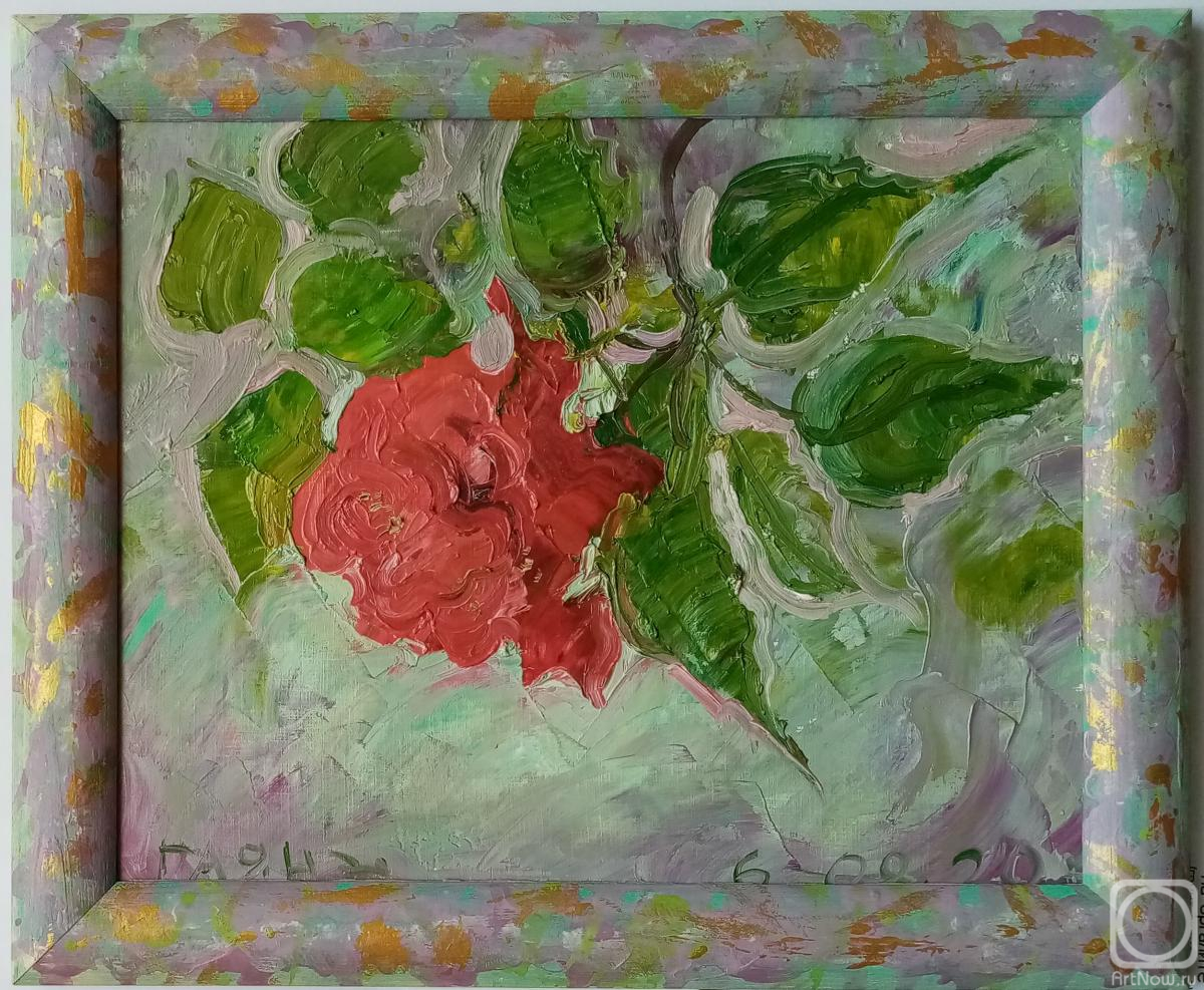 Dobrovolskaya Gayane. Hibiscus bloomed" in a frame