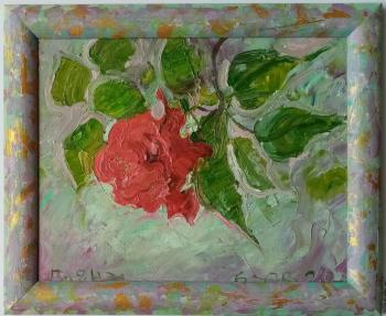 Hibiscus bloomed" in a frame (). Dobrovolskaya Gayane