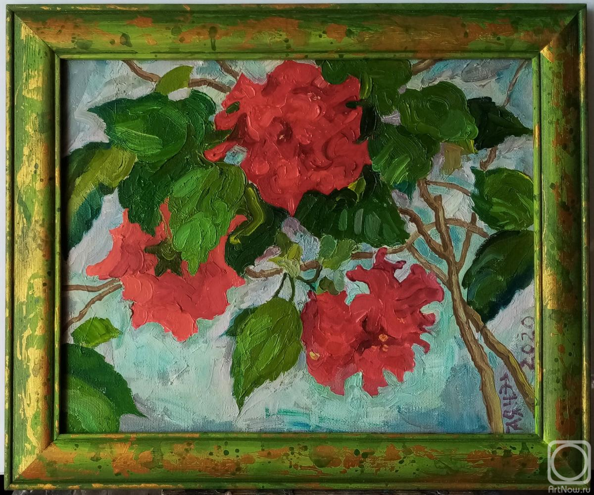 Dobrovolskaya Gayane. "Blossoming hibiscus, three flowers" in a frame