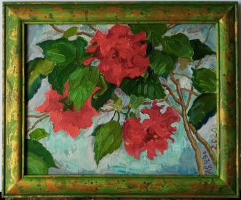 "Blossoming hibiscus, three flowers" in a frame