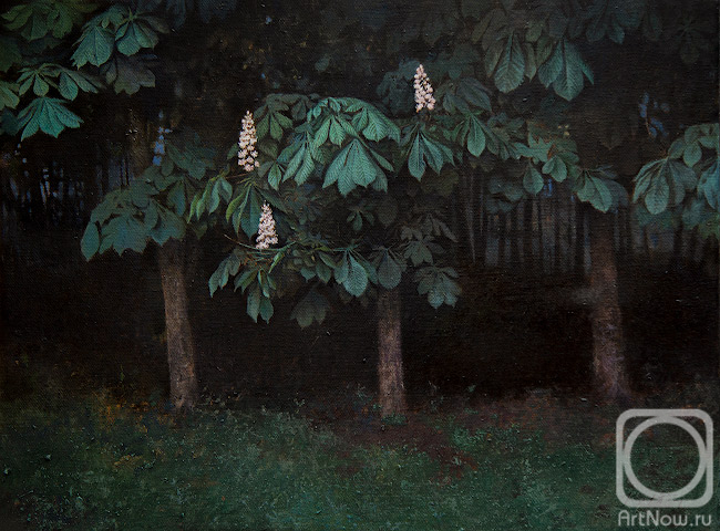 ������� ������ �� ������. ������ ϸ��. ��� �����