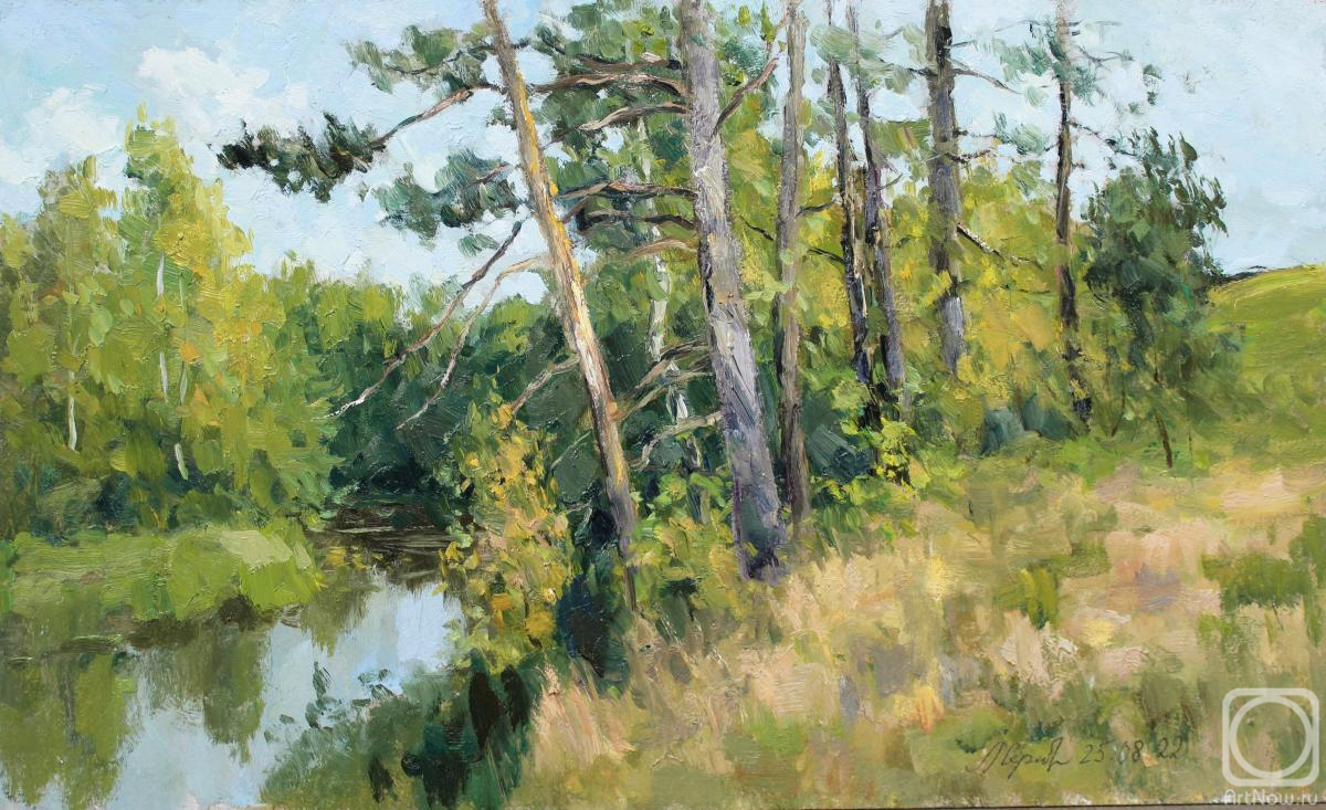 Serebrennikova Larisa. Untitled