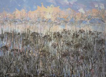 Misty dawn (Pampas Grass). Smirnov Sergey