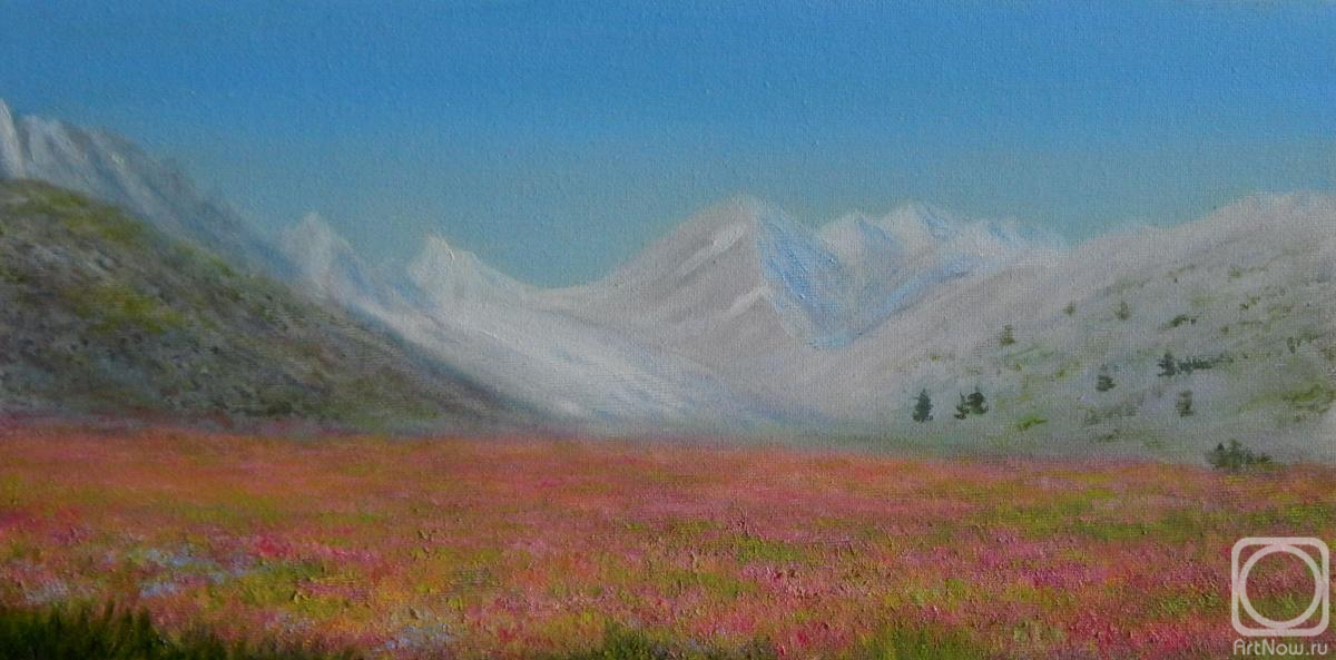 ������� ������ �� ������. ������ �������. ���� � ���������� �������