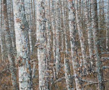 Melancholy of the Gray Forest. Smirnov Sergey