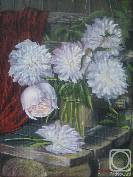 ������� ������ �� ������. ��������� �������. ������ ����� �� ��������