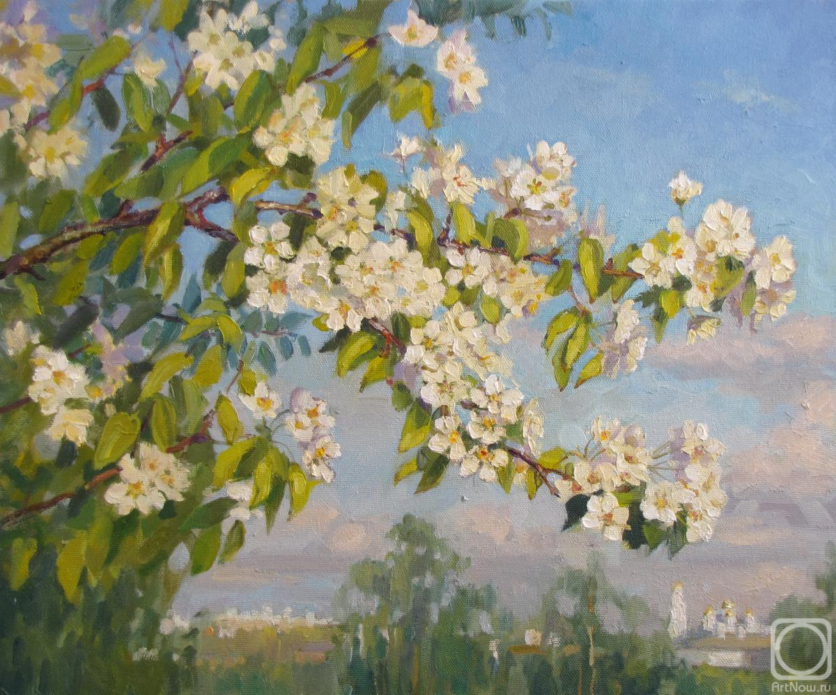 ������� ������ �� ������. �������� �����. ����� ������� ���