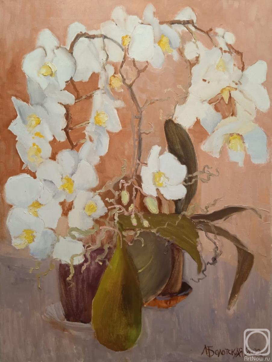 ������� ������ �� ������. ��������� �������. ����� �������