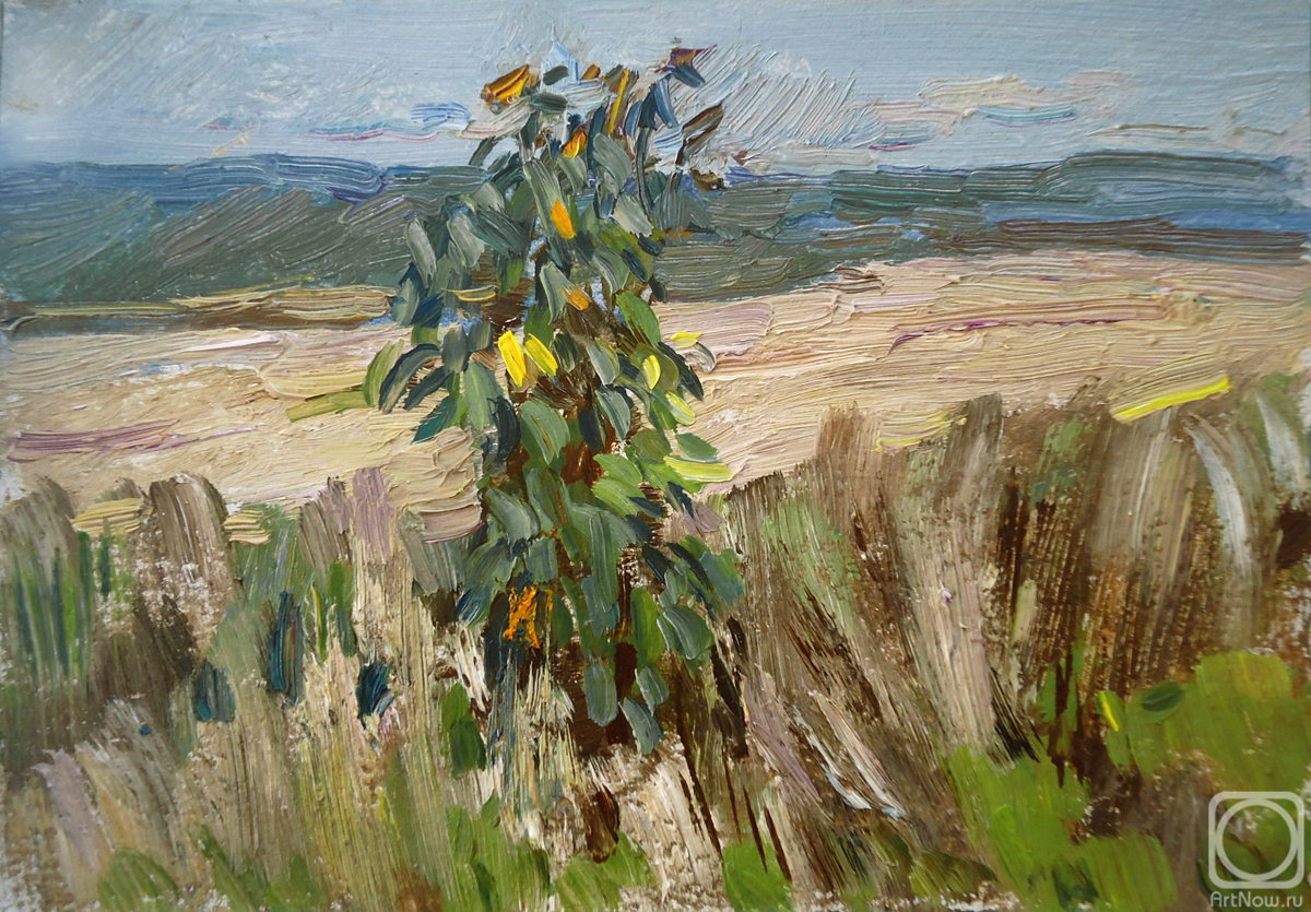 �������. ��������� �����. ������ ������� ������