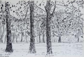 ������� ����� ����� � ������� ������