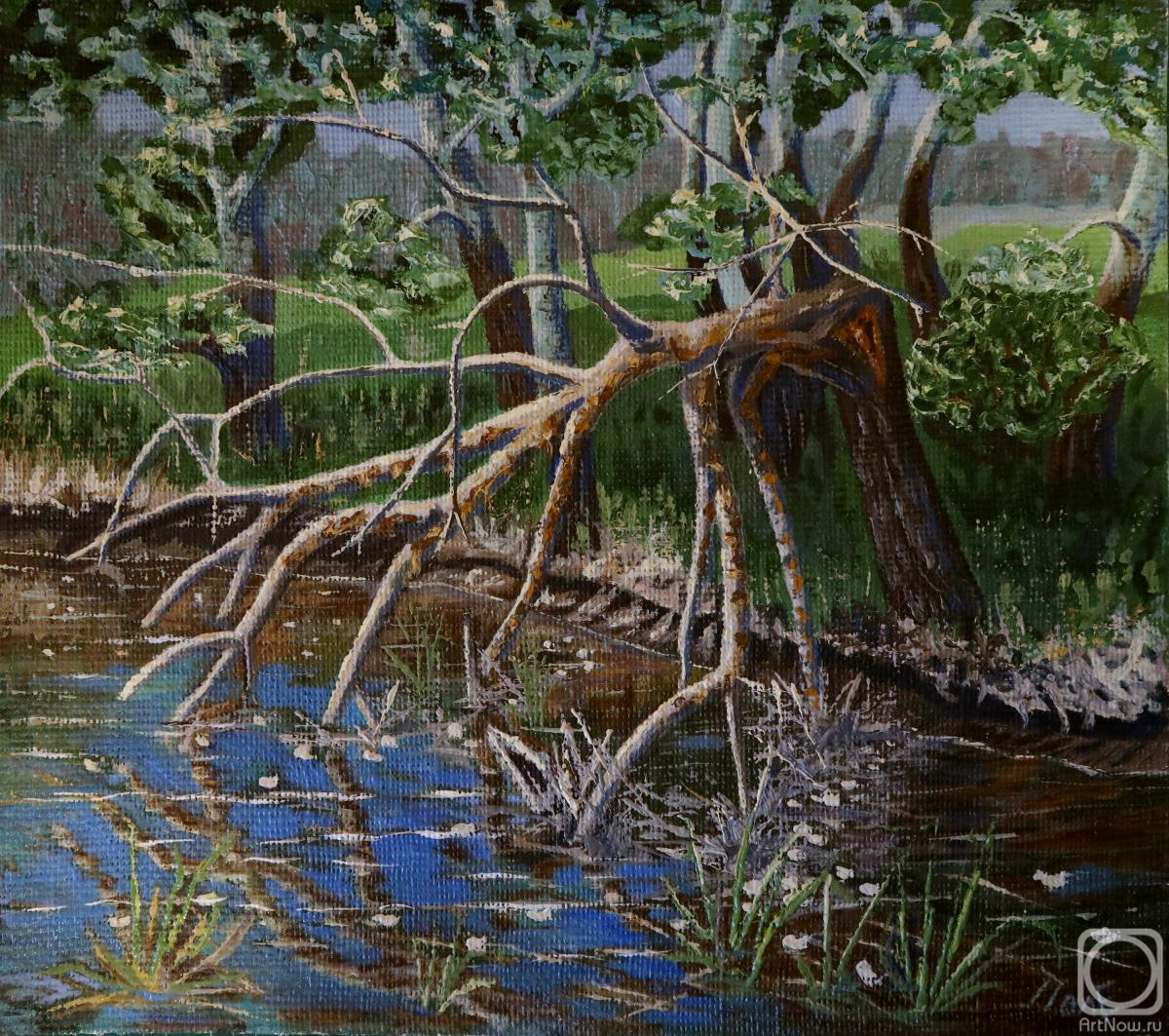 Polischuk Olga. Summer landscape on the river bank