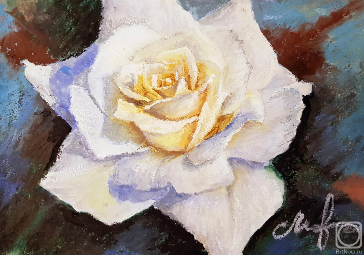 �������. �������� ������. ����� ����