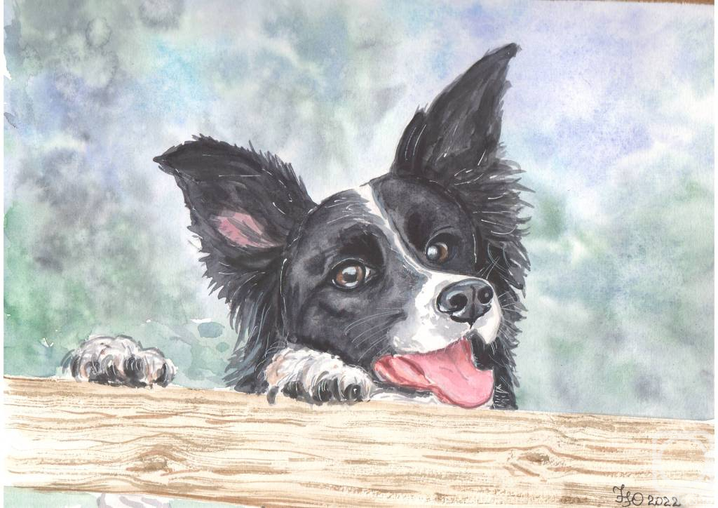 �������. ��������� ����. ����� ������. ������� ������