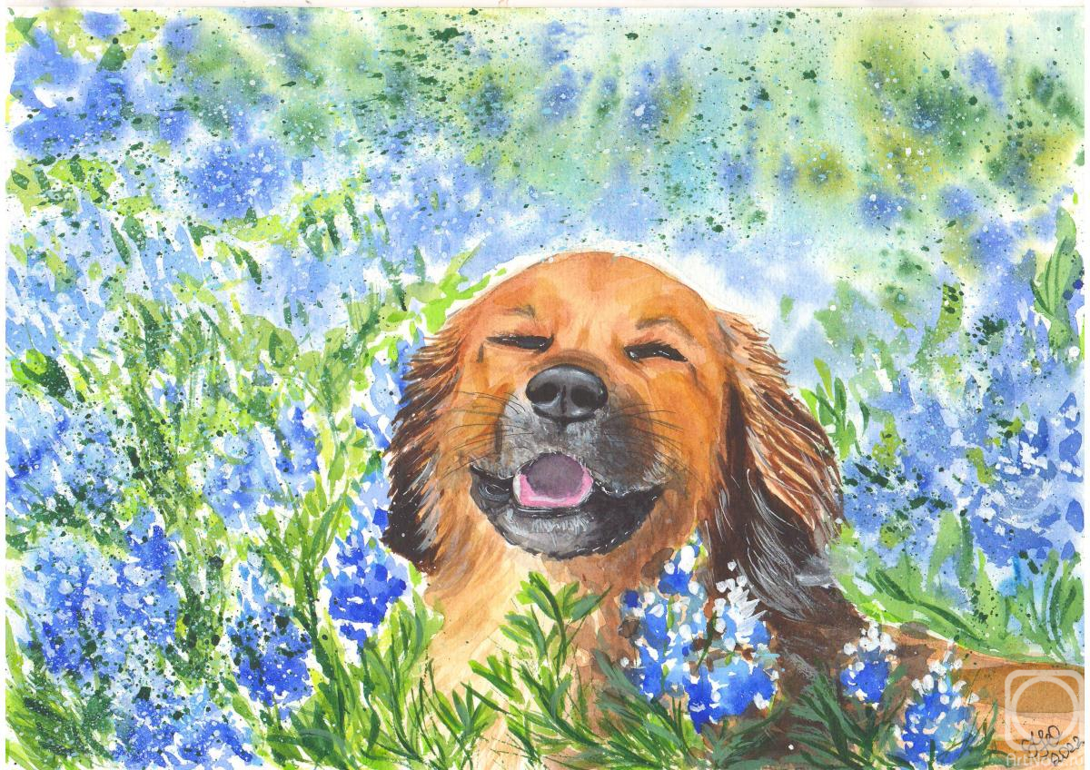 �������. ��������� ����. ��, ����. ������� ������