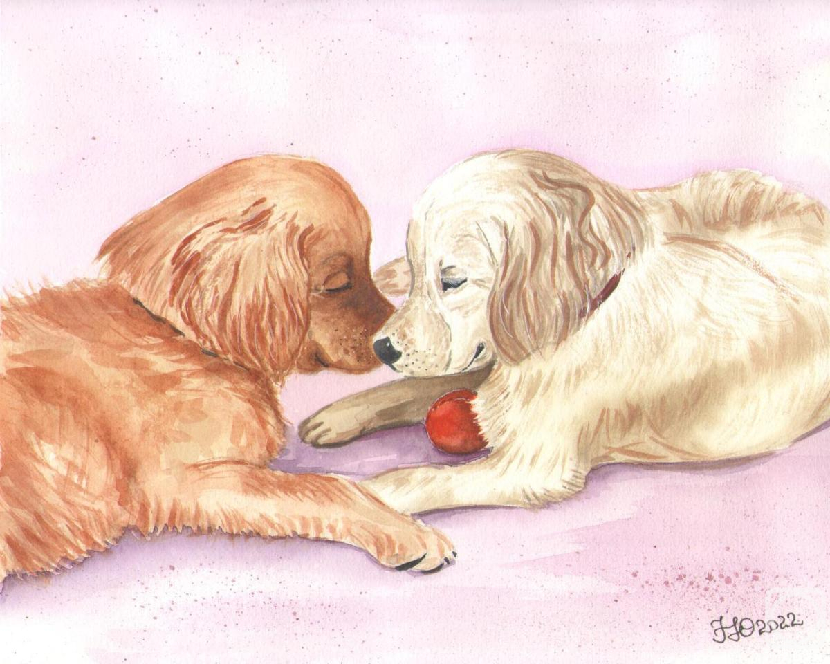 �������. ��������� ����. �������� ��������. ������� �������