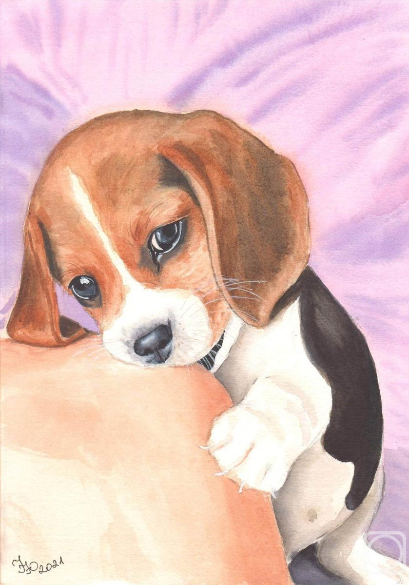 �������. ��������� ����. ����. ������� ������