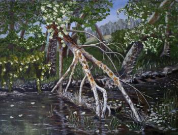Plein-air summer landscape in oil. Aspen grove by the river (Leaves On The Water). Polischuk Olga