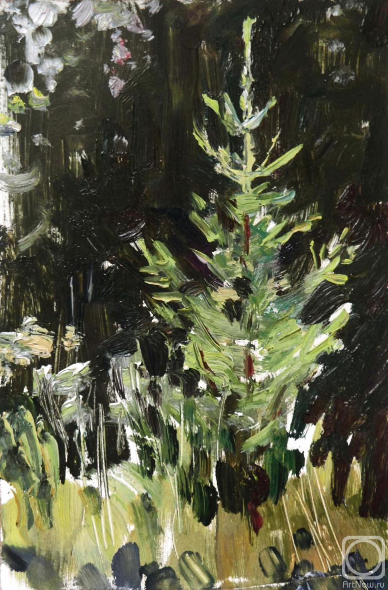 �������. ��������� �����. ������