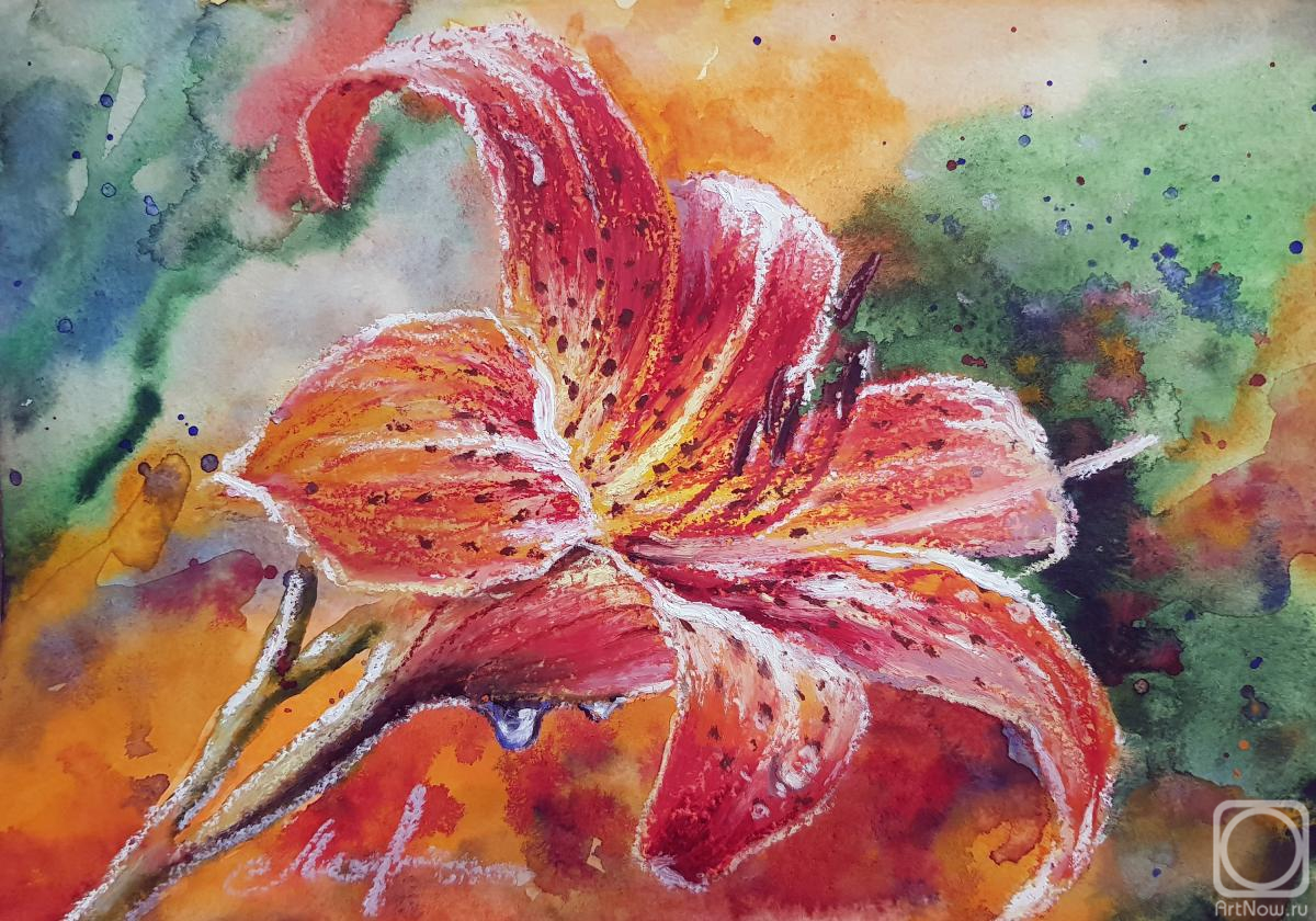 �������. �������� ������. ��������� �����