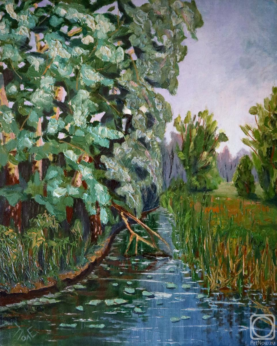 Polischuk Olga. Summer landscape with a river