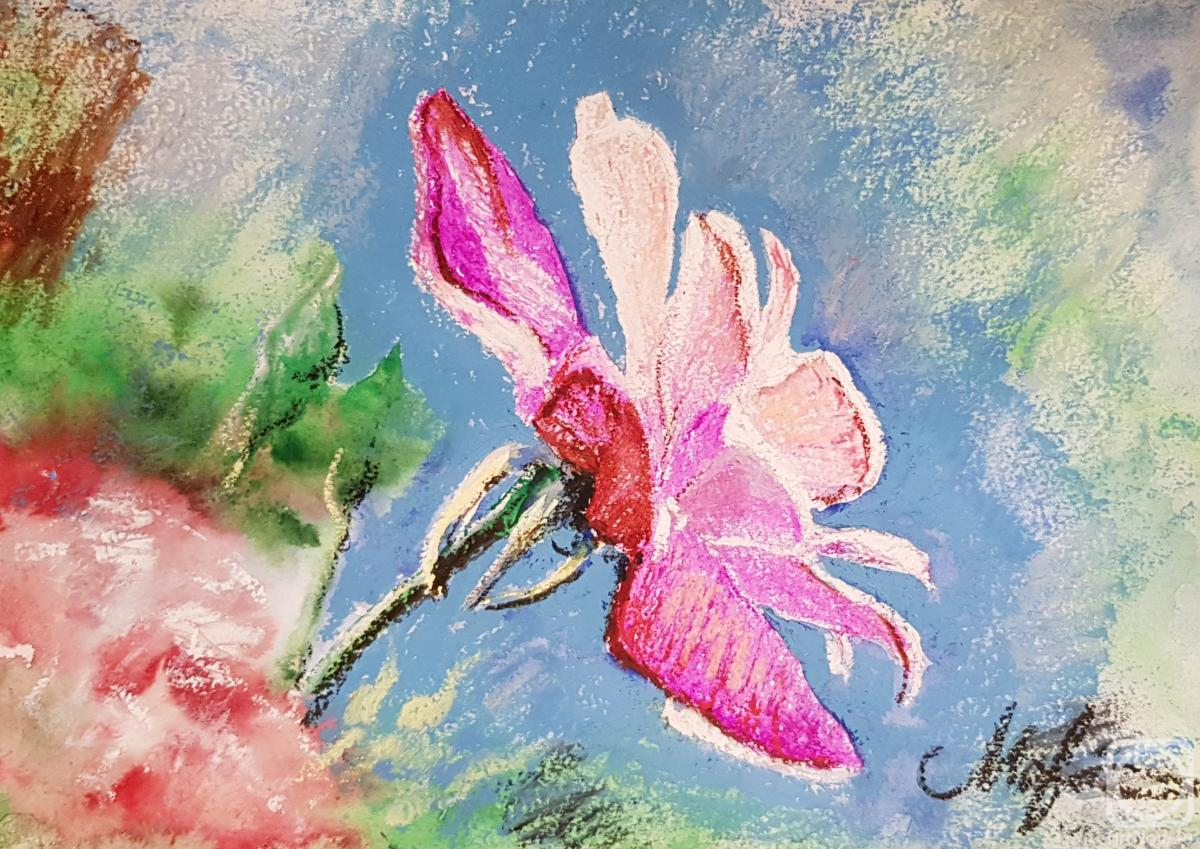 �������. �������� ������. ������� ������