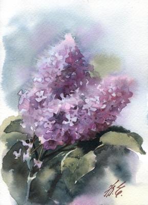 Lilac branch. Evsyukova Yuliya