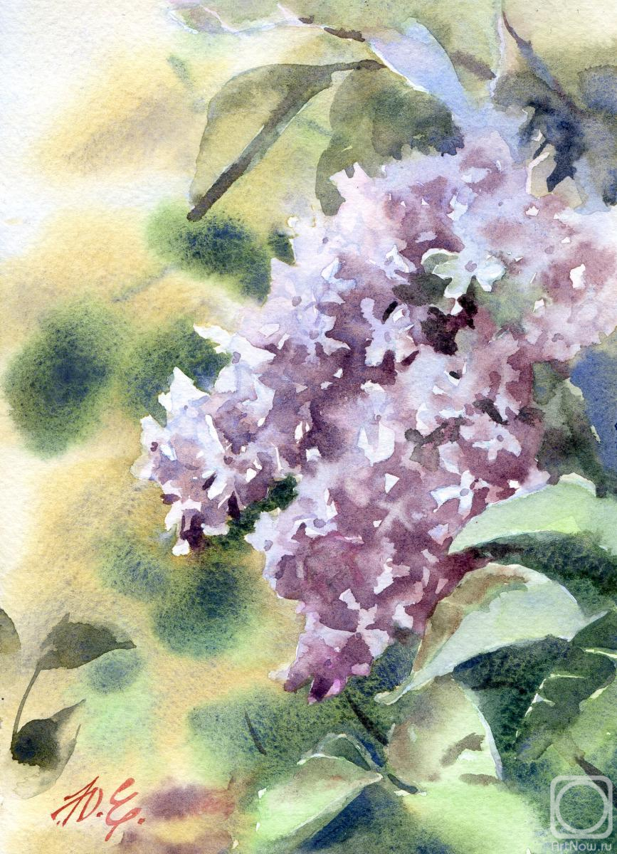Evsyukova Yuliya. Lilac branch