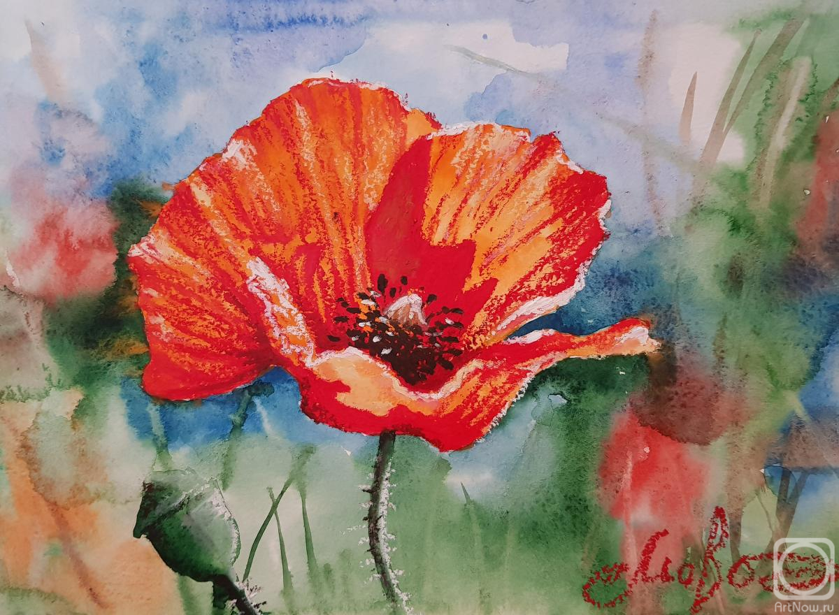 �������. �������� ������. ������� ���