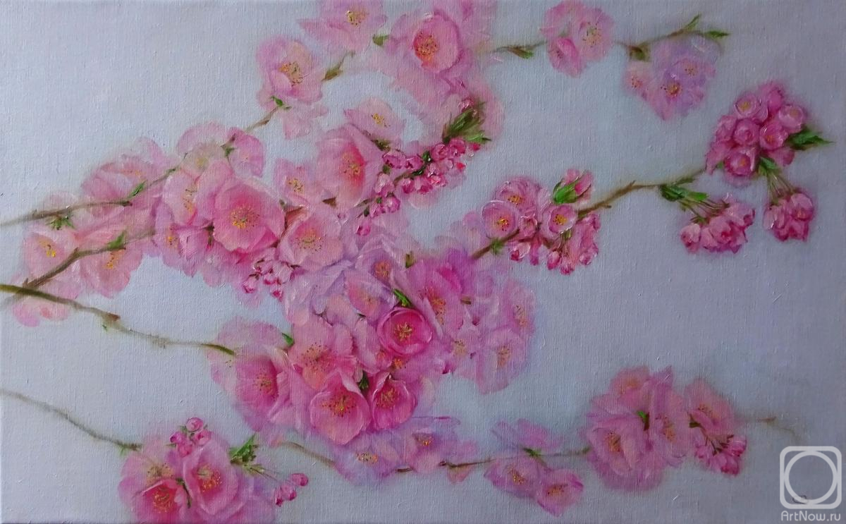 ������� ������ �� ������. �������� ��������. �������� �����