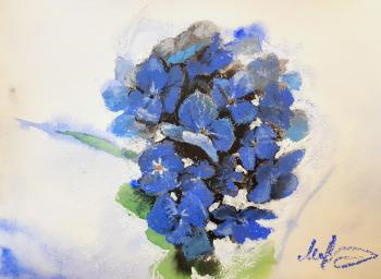 ������� ������ �������