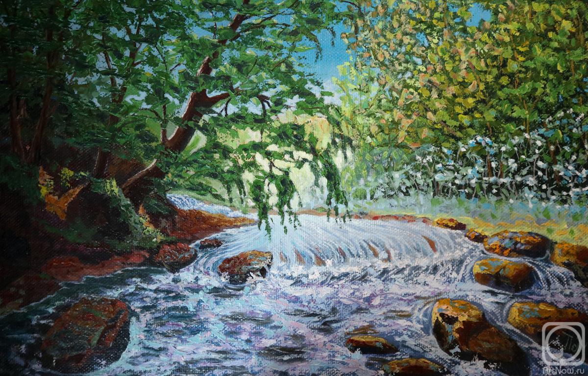 Polischuk Olga. Landscape with a mountain river