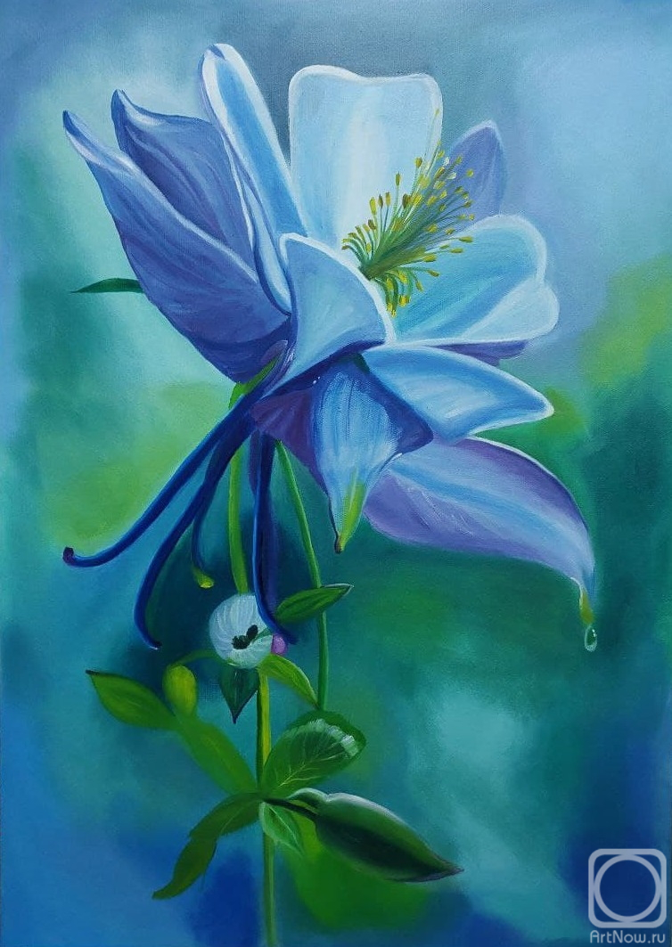 ������� ������ �� ������. ���������� �������. ��������� �������