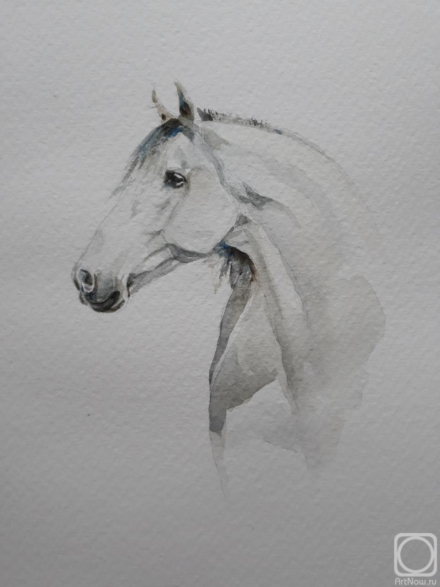 Durandin Viktor. White horse