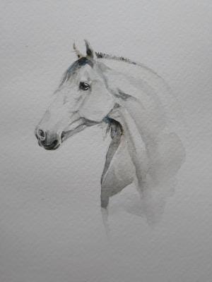 White horse