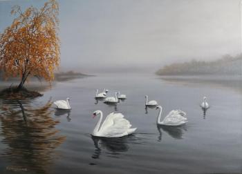 Swans. Istomina Elena
