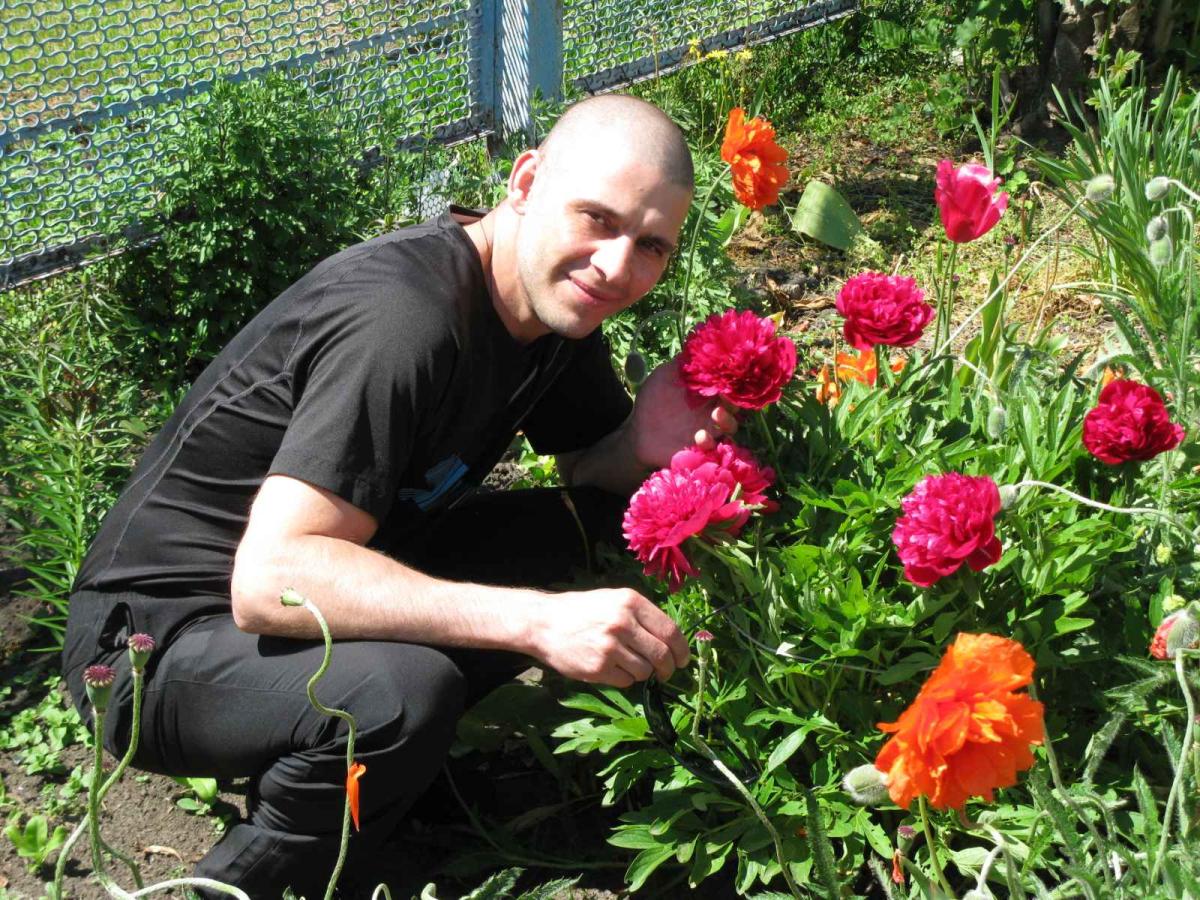 ���������� ������� ����������