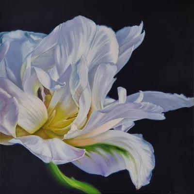 ����� ������. ��������� ����