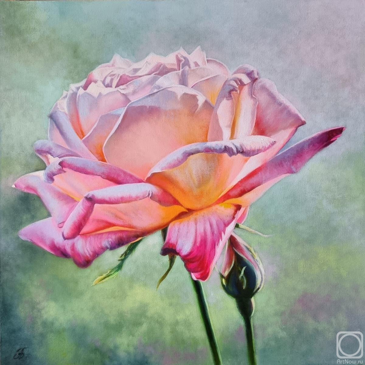 ������� ������ �� ������. ��������� ����. ���� �������