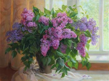 ����� ������ � ����. �������� �����