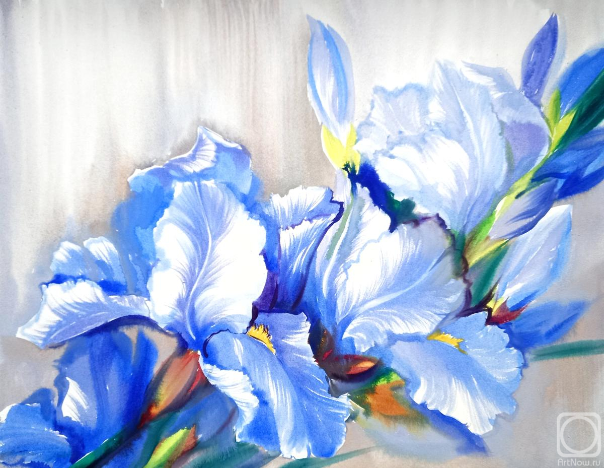 �������. ���������� ���������. ����� ��������� ����